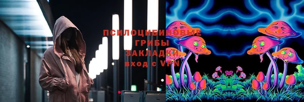 PSILOCYBIN Болотное