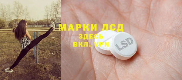винт Абаза