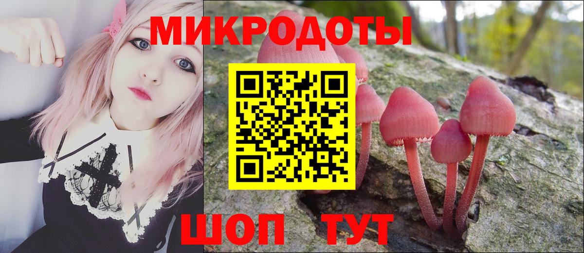 Псилоцибиновые грибы мицелий Донецк